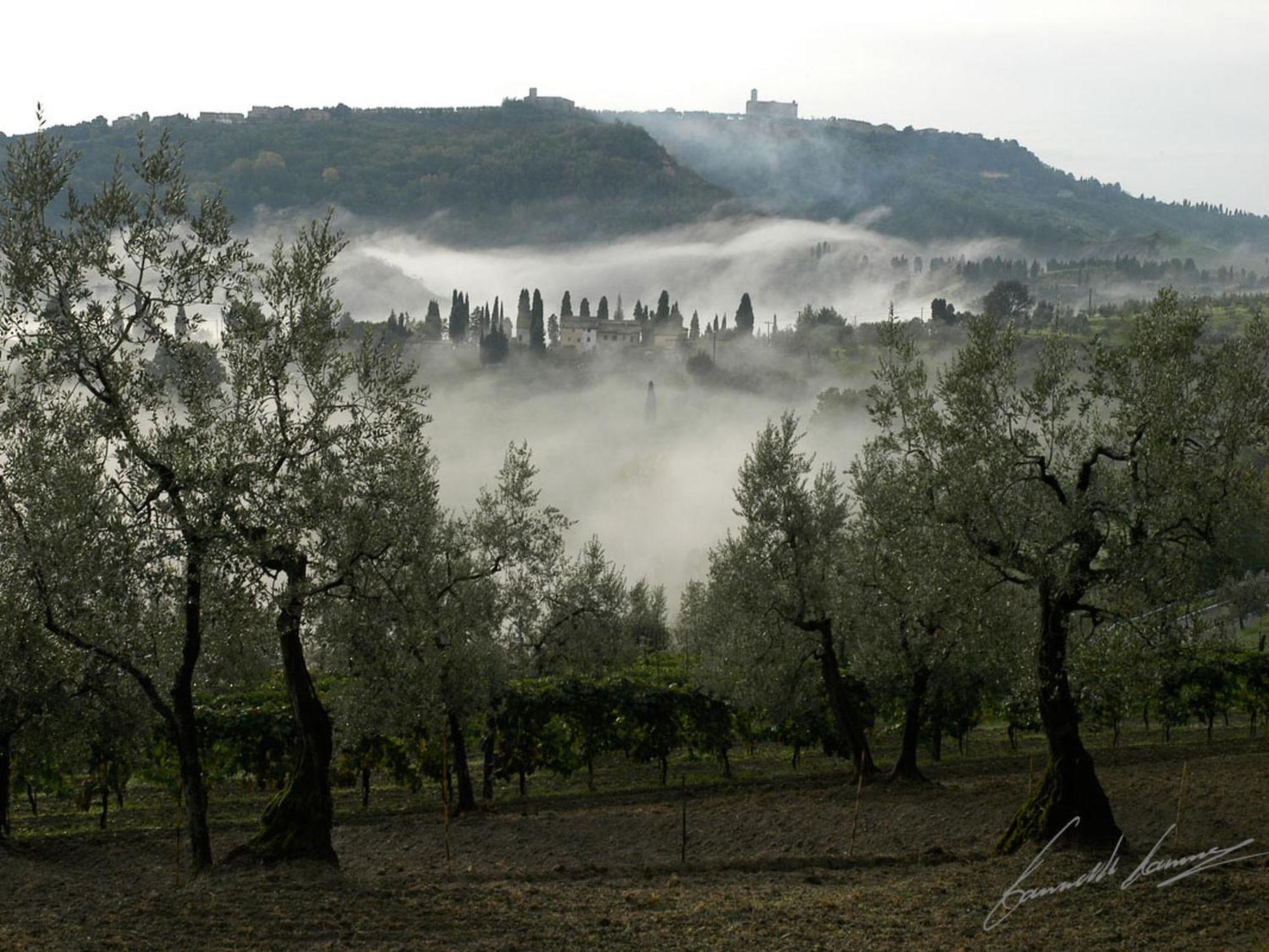 Holiday Home Le Pergole By Interhome Volterra Luaran gambar